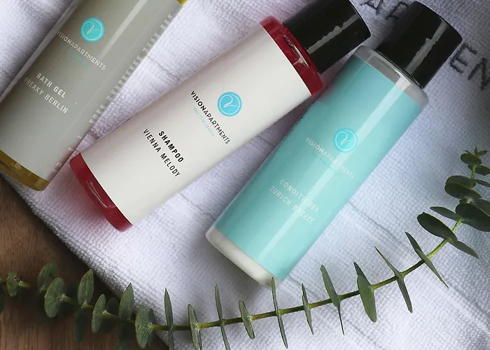 Visionapartments Gerechtigkeitsgasse - Contactless Check-in Цюрих